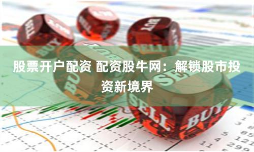 股票开户配资 配资股牛网：解锁股市投资新境界