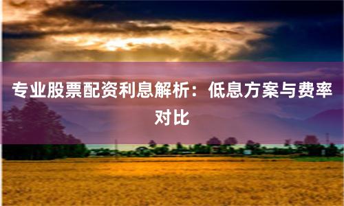 专业股票配资利息解析:低息方案与费率对比